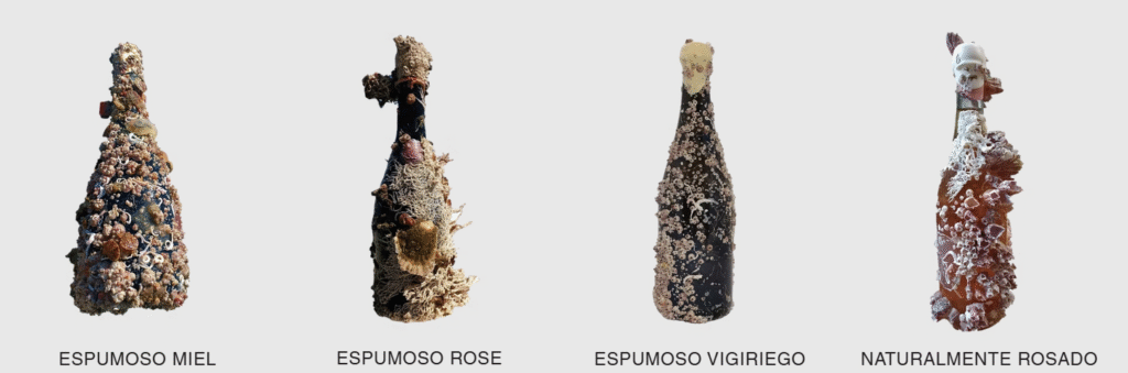 Escaramujo wines