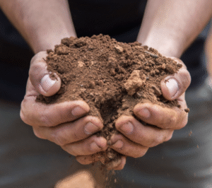 España está llena de vinos con apellido, con pedigrí y con mapa. Pero hay algunos, pocos y escogidos, que no necesitan apellido ni frontera. Son los Vinos de Pago Certificados, los que nacen, se elaboran y se embotellan en el mismo lugar, como si la tierra quisiera firmar su propio nombre en la etiqueta. Un Vino de Pago Certificado no se fabrica: se cumple. No se hace en una bodega cualquiera, sino en su propio territorio, con uvas que nunca han conocido otro horizonte. Todo ocurre allí, desde la raíz hasta el corcho, como si el vino se negara a salir de casa antes de tiempo. Por eso, cuando uno lo bebe, no viaja: vuelve. El origen de lo irrepetible La historia comenzó en Castilla-La Mancha, allá por el año 2000, con el Decreto 127/2000, cuando unos viticultores lúcidos y valientes pidieron algo que parecía imposible: que se reconociera oficialmente la singularidad de una finca concreta. Querían que el vino pudiera ser una denominación en sí mismo. Así nacieron los primeros pagos reconocidos, Finca Élez (en El Bonillo, Albacete) y Dominio de Valdepusa (en Malpica de Tajo, Toledo), pioneros de una figura que más tarde recibiría la bendición de Bruselas: el reconocimiento comunitario de que un solo paraje, con su propio suelo y clima, podía alcanzar rango de Denominación de Origen Protegida (DOP). Era el sueño de convertir una parcela en patria. Una geografía en forma de vino Si hubiera que nombrarlos, sería como leer un mapa poético de España. >Veintisiete pagos certificados, reconocidos por el Ministerio de Agricultura y por Bruselas como Denominaciones de Origen Protegidas (Vino de Pago), dibujan la constelación más singular del vino español. De entre ellos, catorce bodegas han decidido unir su voz en la Unión de Vinos de Pago Certificados (UVPC), convencidas de que la unión hace la fuerza: Pago Guijoso, Aylés, Bolandín (Pago de Cirsus), Campo de la Guardia, Casa del Blanco, Chozas Carrascal, Dehesa Peñalba (Vizar), El Vicario, La Jaraba, Los Balagueses (Vegalfaro), Arínzano, Otazu, Prado de Irache y Vera de Estenas. Un grupo diverso, pero unido por la misma convicción: que la excelencia necesita voz colectiva. La unión hace la fuerza, y estos catorce lo están demostrando con hechos, presencia y propósito. Los otros pagos, los que todavía no se han sumado, siguen su camino con la misma pasión y el mismo reconocimiento oficial. Seguro que el tiempo, y el vino, acabarán juntándose, porque no hay frontera más débil que la que separa a quienes hablan el mismo idioma del suelo. El salón donde la tierra habló El 6 de octubre de 2025, en Covarrubias The One (Madrid), la UVPC celebró su primer Salón de Vinos de Pago Certificados, un encuentro profesional que reunió a las bodegas miembro en un ambiente sereno y de respeto. No fue un escaparate, sino una conversación entre tierras. La jornada incluyó una cata magistral, dirigida por Pedro Ballesteros MW y Juan Manuel Bellver, con vinos de más de 15 años, proyectos de I+D y variedades poco comunes. Un espectáculo para los sentidos. La mesa redonda estuvo compuesta por Pedro Ballesteros MW, Cristina Tierno, Juan Manuel Bellver y Francisco Fernández, presidente de la UVPC. Se habló de trazabilidad, autenticidad y de cómo comunicar mejor el valor de una categoría que une la precisión de la viticultura con el reconocimiento de Bruselas. Qué los hace distintos Un Vino de Pago Certificado no presume: demuestra. Su uva nace en la finca, se vinifica en la finca y se embotella en la finca. Tiene su propio reglamento, su trazabilidad y un sistema de control avalado por las autoridades nacionales y europeas. Cada botella es, literalmente, un documento de identidad geográfico. No hay dos iguales, porque no hay dos suelos que respiren del mismo modo. Algunos viven del sol seco, otros de la brisa atlántica, pero todos comparten una fidelidad absoluta al lugar. Entre nombres y convicciones En el vino español hay palabras que suenan parecidas, pero no dicen lo mismo. “Pago” es una de ellas. Puede ser una finca, una marca, una filosofía o una categoría. Y ahí empieza la confusión. Un Vino de Pago Certificado. Es una Denominación de Origen Protegida reconocida por Bruselas, con reglamento y controles oficiales. Un Gran Pago de España. Es una asociación privada de bodegas que defienden la filosofía del viñedo singular, admirable y necesaria, pero sin rango legal europeo. Y las bodegas que llevan “Pago” en el nombre. Registradas antes de la legislación de 2003, forman parte de la historia del vino español, aunque no todas pertenezcan a la categoría oficial. No hay conflicto, sólo homónimas que se cruzan como viñas en pendiente. Y sin embargo, la claridad importa. Cuando alguien pide un Vino de Pago Certificado, está pidiendo un vino con denominación propia, con papeles en Bruselas y raíces en casa. Conviene decirlo con elegancia. No hay nada en contra de los Grandes Pagos de España, que reúnen proyectos brillantes y bodegas admirables. De hecho, algunas de ellas tienen doble mérito, porque además de formar parte de esa asociación, son también Vinos de Pago Certificados. Tampoco de aquellas casas que lucen “Pago” en su nombre, muchas de ellas pioneras y visionarias. Ya defendían la identidad de su finca mucho antes de que existiera la ley. Todos han contribuido a dignificar el vino español y a ensanchar su mapa de autenticidad. Pero hoy, el relato pertenece a los Vinos de Pago Certificados, la única categoría reconocida por Bruselas que convierte una finca concreta en Denominación de Origen Protegida. Son el punto exacto donde la viticultura artesanal se encuentra con la legitimidad institucional. Vinos para todos los caminos No hace falta una fortuna para entenderlos. Hay vinos de pago cercanos, tan bien hechos que caben en la copa de cada día. Otros, complejos y de guarda larga, exigen silencio, tiempo y una tarjeta con aplomo. Porque un vino de pago no se mide por su precio, sino por su verdad. Muchos de ellos exportan más de lo que venden en casa, como los artistas que primero triunfan fuera y luego regresan con aplausos traducidos. Pero el objetivo no es marcharse. Es que España los reconozca también como suyos, que cuando alguien diga “Vino de Pago” piense en el vino que respira el mismo aire que la cepa. Vinos con memoria y raíz En un mundo lleno de etiquetas sin historia, los Vinos de Pago Certificados son una excepción luminosa. No siguen tendencias, las resisten. No buscan volumen, buscan sentido. Son vinos que saben quiénes son, y eso, en tiempos de modas pasajeras, los convierte en un acto de coherencia. Porque cuando uno bebe un Vino de Pago Certificado, no está catando una añada ni una marca. Está bebiendo una finca con pasaporte europeo, un paisaje embotellado, una identidad que se defiende con papeles y con orgullo. Los Vinos de Pago Certificados son el vértice del vino español. Fincas únicas reconocidas por Bruselas, donde la tierra se convierte en denominación y el origen en verdad.