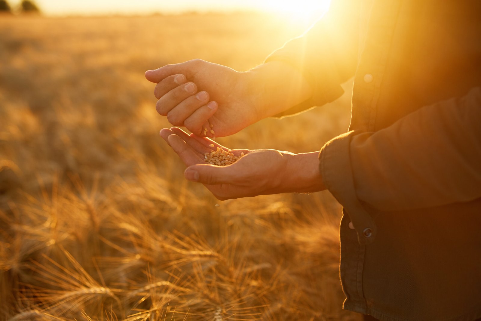 El desayuno de los campeones