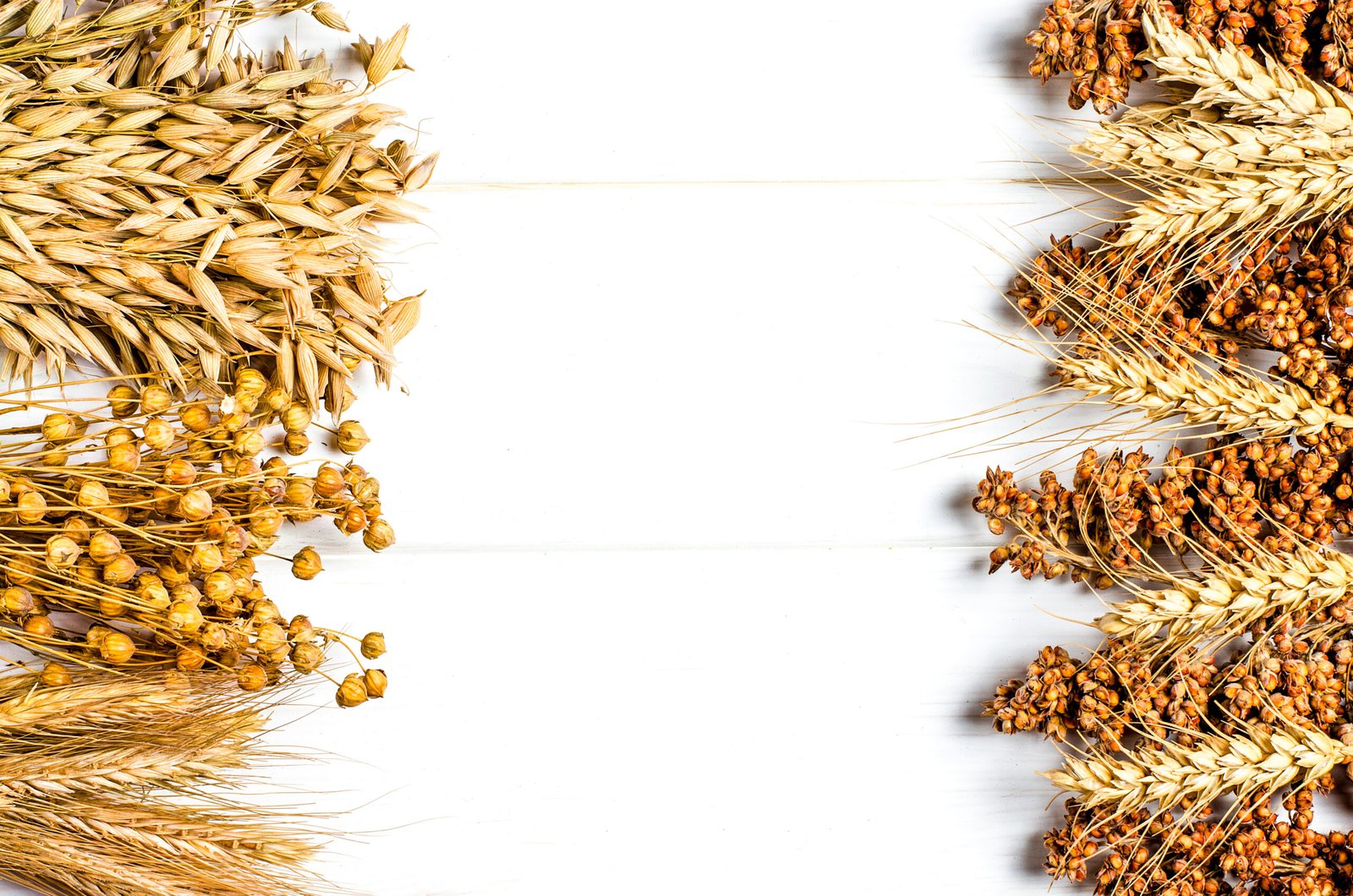 El desayuno de los campeones