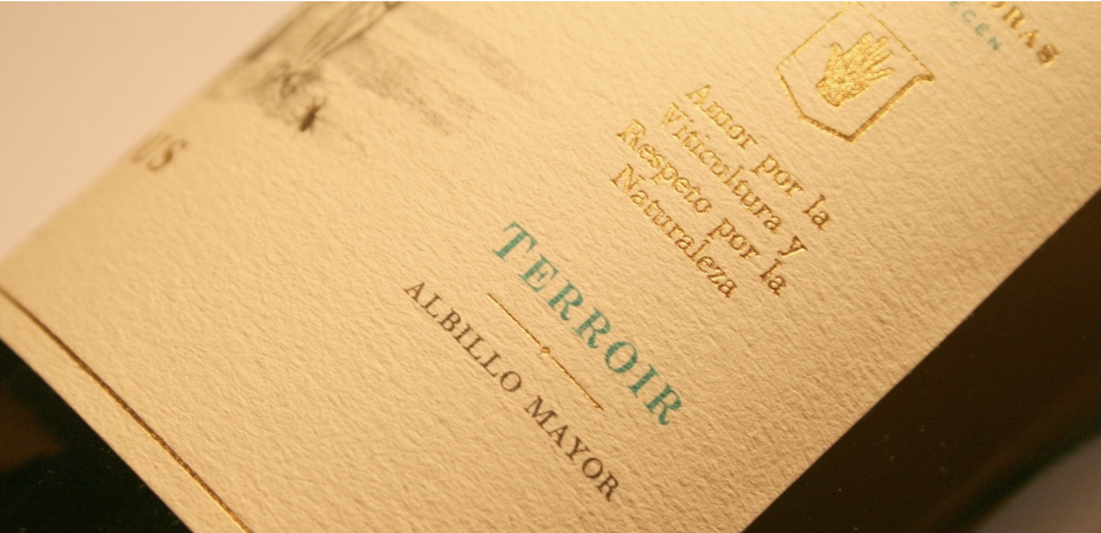 TresPiedras, o cuando una bodega todavía se parece a una casa