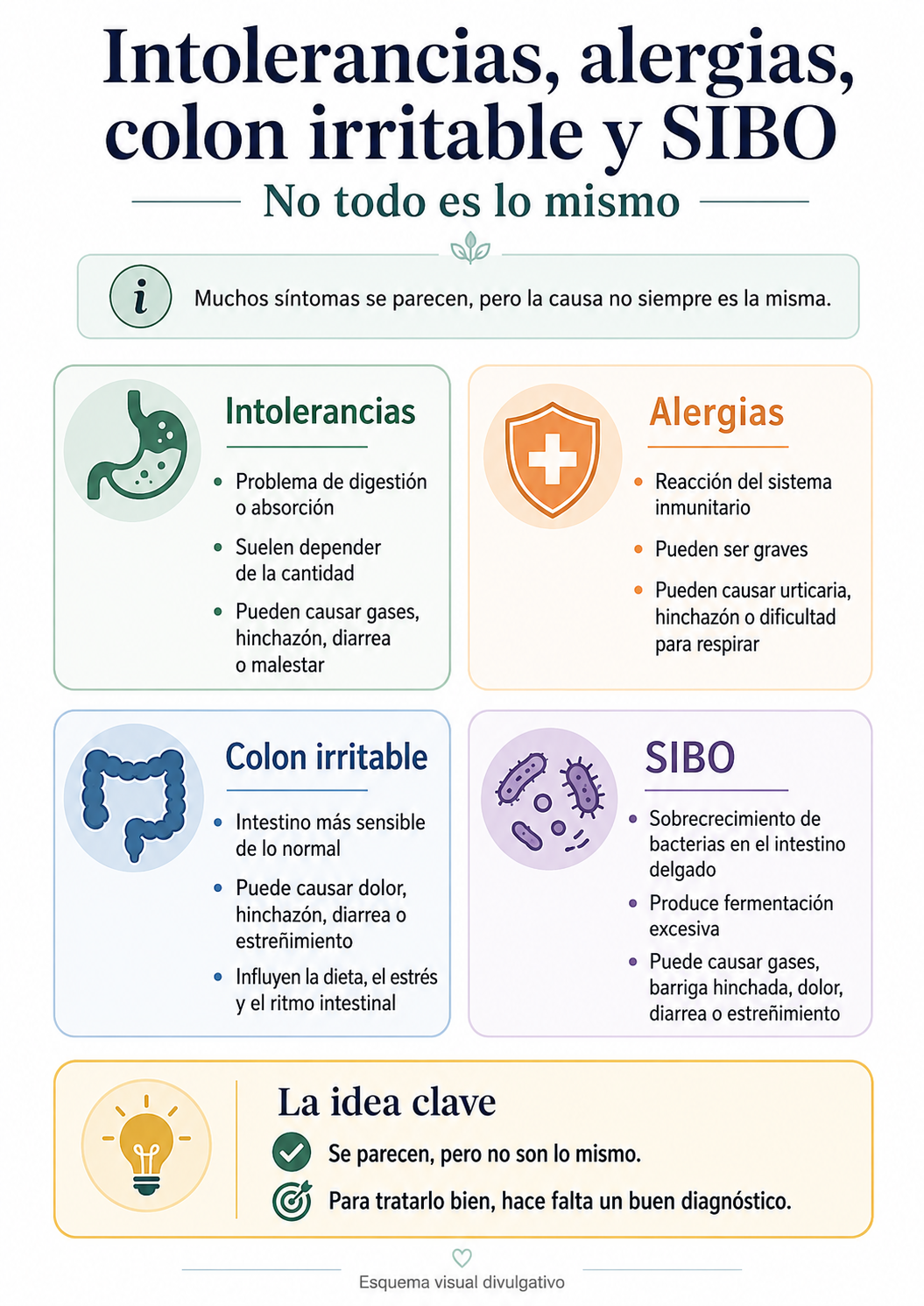 Intolerancias, alergias, colon irritable y SIBO,no todo es lo mismo